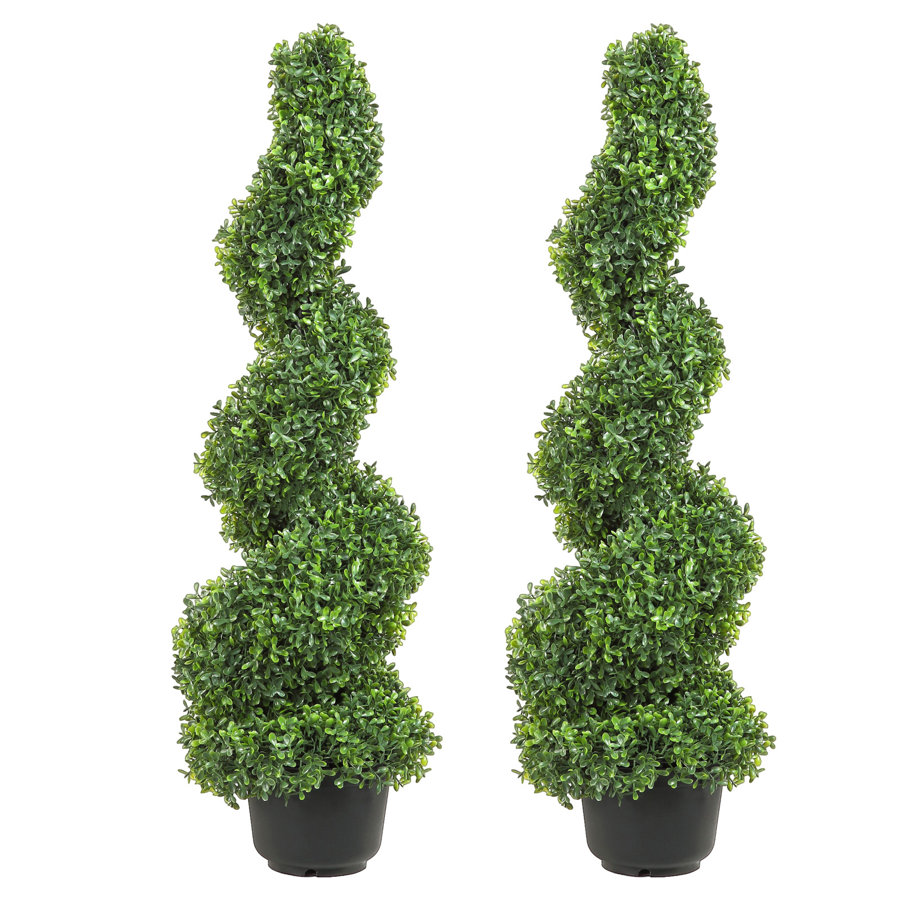 Primrue Artificial Boxwood Topiary in Pot